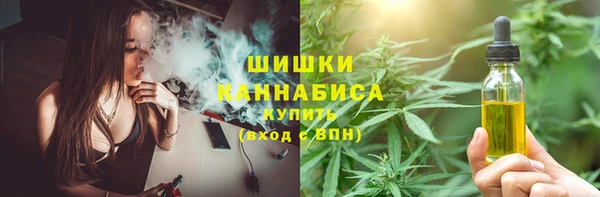 гидропоника Рославль