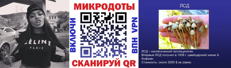 Псилоцибиновые грибы GOLDEN TEACHER  Асбест 
