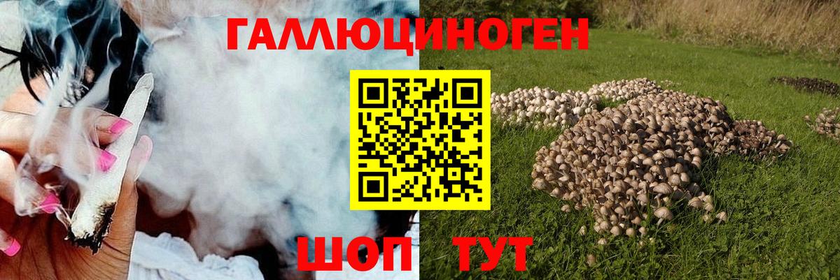 Псилоцибиновые грибы прущие грибы  Вход с VPN  Асбест 